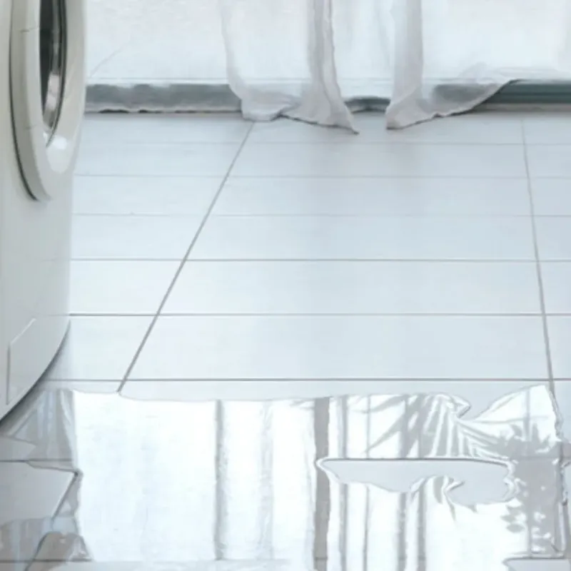 Appliance Leak Cleanup in Laurens, SC