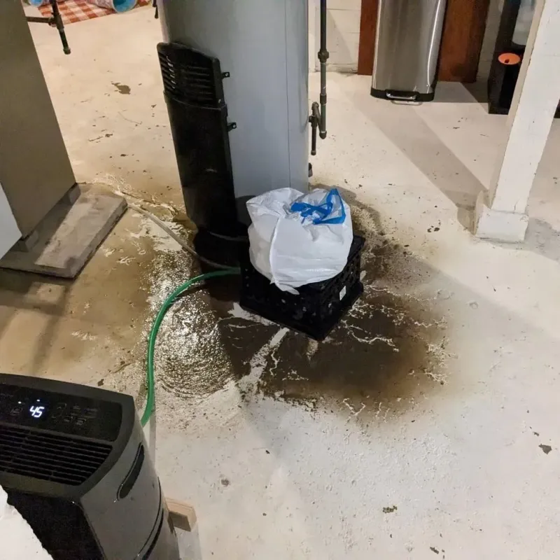 Sewage Backup Cleanup Service in Laurens, SC
